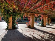 Valladolid apuesta por unanimidad por la energía sostenible