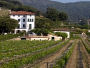 Spanish wineries band together to embrace renewables, sustainability