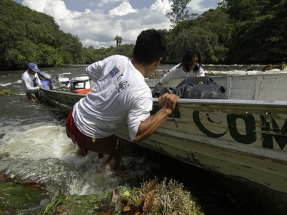 WWF España busca un profesional para desempeñar el cargo de técnico en transición energética