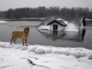 Is climate change really happening?  Just ask your insurance agent!