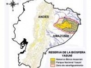 Incertidumbre por la reserva petrolera de Yasuní