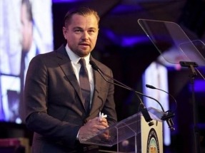 Leonardo DiCaprio latest to make case to Trump about green jobs, renewables