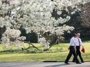 Obama dramatically expands support for renewables in 2014 budget proposal