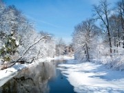 A very Merry Christmas to you, our loyal readers and dear friends