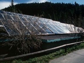 Fueled by Strong Renewable Energy Sector Growth, Massachusetts Bill Proposing Complete Transition by 2050 Gains Support