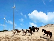 UN Report: Major milestones reached on renewable energy investments