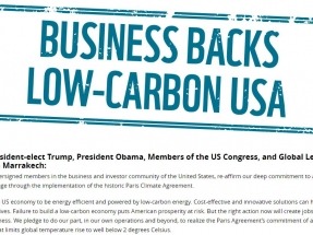 300 Businesses Urge Trump to Stand by Renewables, Climate Deal