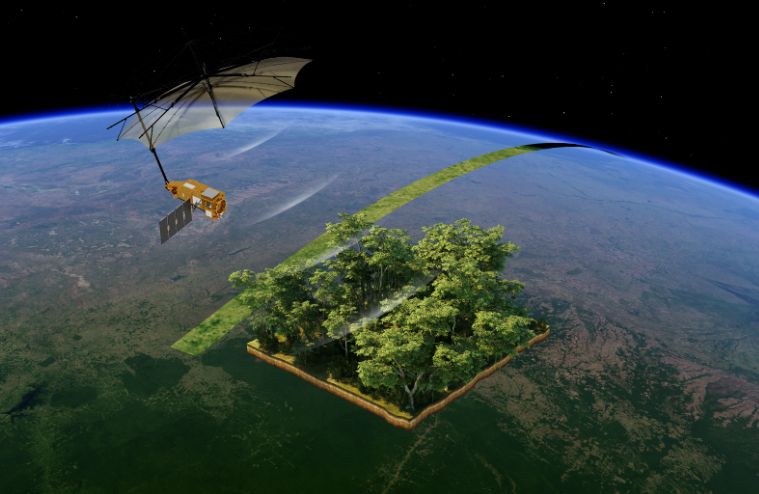 Biomass Satellite Returns Striking First Images of Forests and More