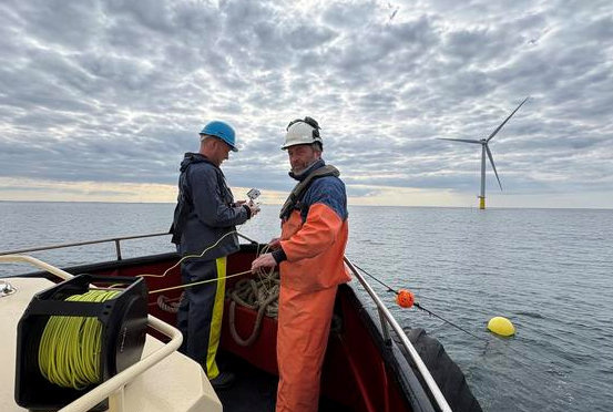 Offshore Wind Farms Could Become the Next Frontier for Sustainable Food Production