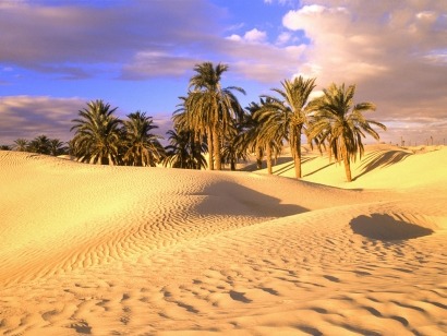 Saharan sun will light European homes by 2016