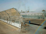 Pepinos cultivados con agua marina y energía solar en pleno desierto