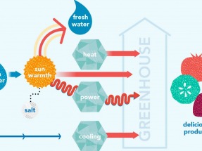 Farm grows crops in Australian desert with help of concentrated solar power