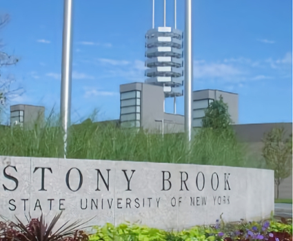 University in New York Awarded Over $4.9M Grant for Efficient Hydrogen Storage Demonstration Project